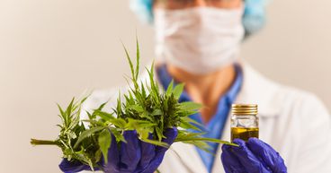 2 Cannabis stocks to grab before they start moving