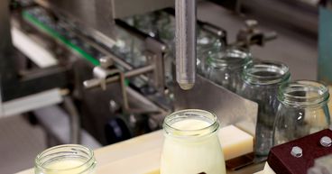 Here’s How 3 Prominent NZX Dairy Stocks Are Performing - ATM, SML, FCG