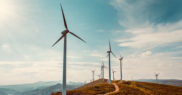 Tilt Renewables’ shares placed in a trading halt ahead of a better takeover bid