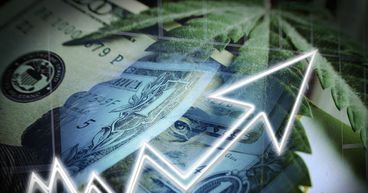 2 Cannabis Stocks To Buy That Grew Over 50% YTD