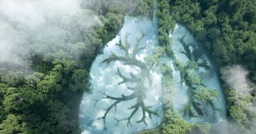 Critical minerals can strengthen global climate ambitions, says International Energy Agency