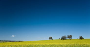 Drought Dents Australia’s crop production in 2019-20