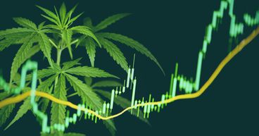 Canopy Growth (TSX:WEED) & Sundial (NASDAQ:SNDL): 2 Pot Stocks To Buy