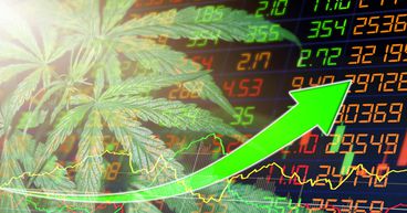 Canopy Growth (TSX:WEED): A Pot Stock Worth Buying?