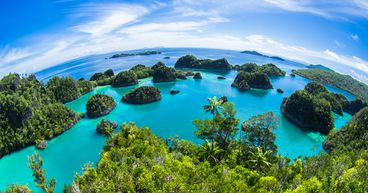 Ocean Conservation: What Are Nations Doing to Protect Their Underwater Habitats?