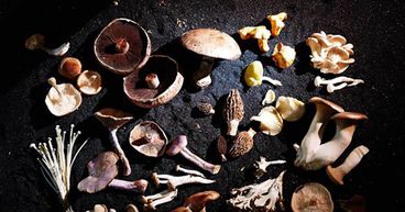 Milestone on the cards for Rritual Superfoods (RSF:CSE) as it readies to go live on Amazon in US