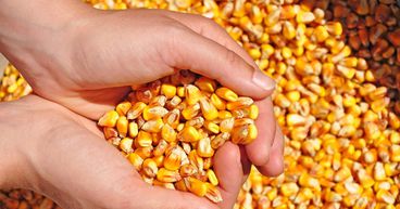 Why are commodity prices rising and what is its impact on inflation?
