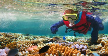 Is Australia’s Great Barrier Reef in danger?