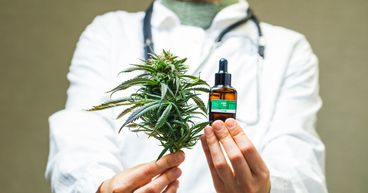 5 junior pot stocks to explore as marijuana gets more support in US
