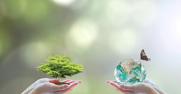 Address climate change & biodiversity loss side by side, says UN