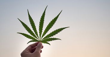 Best psychedelic stocks to explore in Canada