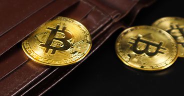 How one can trade Bitcoin in New Zealand? How is the country exploring CBDCs?
