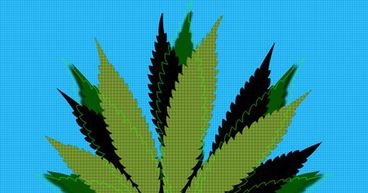 Canadian pot stocks wibble-wobble as US moves closer to legalize weed