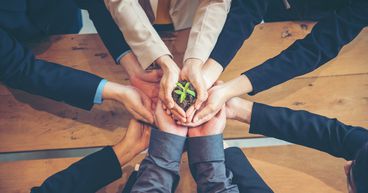 Four sustainability trends as green transition heats up