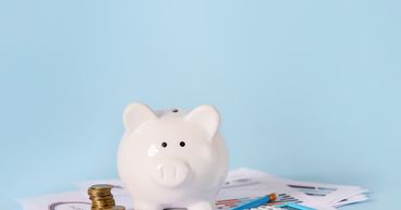 Which are the 5 companies paying more than 5% dividend yield on NZX?