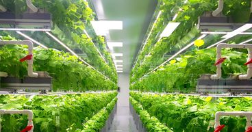 What is vertical farming?