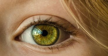 EyeGate (EYEG) soars amid plans to buy Bayon. A pharma stock to buy?