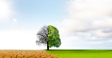 Do emission regulations signal end of IC engine vehicles?
