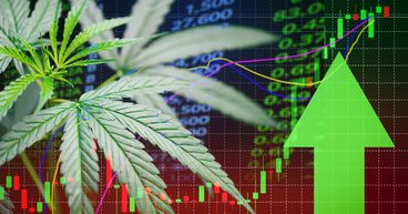Will Tilray (TLRY) become the next big cannabis stock in North America?