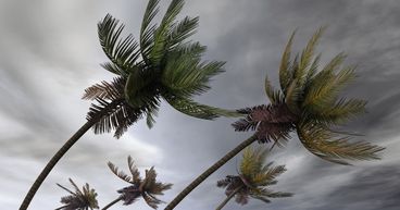 Hurricane Ida lashes Louisiana, natural gas output hit
