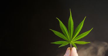 Canopy Growth (TSX:WEED) is rising. Is the pot stock a safe bet?