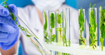Top five biotechnology stocks to explore that are under US$100