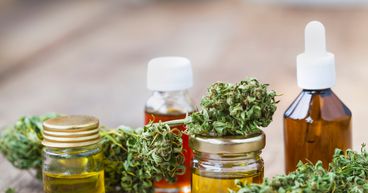 Will Rua Bioscience’s (NZX:RUA) growth strategies pay off well?