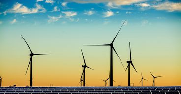 How are 5 NZX energy companies extending support to consumers?