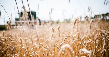 Australian farmers are on track to achieve record production in 2021-2022