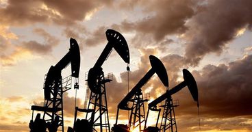 Oil falls on US crude oil recovery
