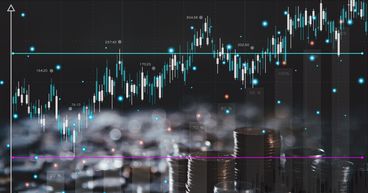 5 NZX stocks with highest YTD returns that can be explored