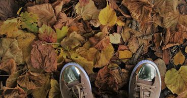 Planning to save? 2 fall investment resolutions to mind