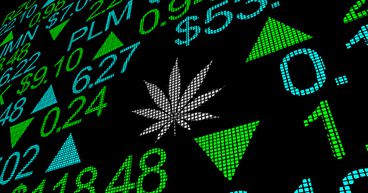 5 Canadian cannabis stocks to buy this fall