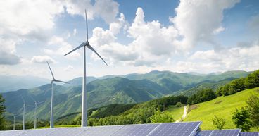 UK energy crisis: Pure Plant, other firms going bust
