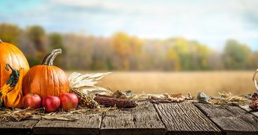 7 small-cap stocks to explore ahead of Thanksgiving