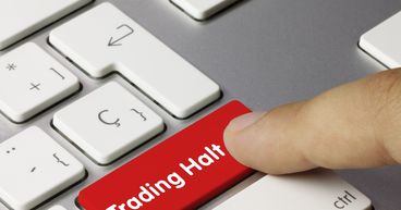 Why are Vulcan shares placed on trading halt?