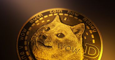 Shiba Inu continues its astronomical surge despite the snub by Musk