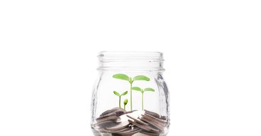 Is it the right time to invest in Ankr crypto? 