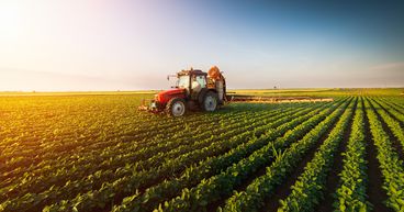 3 NZX agriculture stocks to focus on before 2021 ends