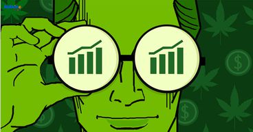 5 TSX cannabis stocks to buy under $20 as US weighs decriminalization