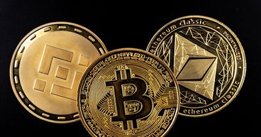Cryptos In Action