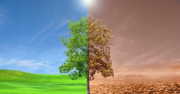 Why China, US, Germany are playing spoilsport at COP26