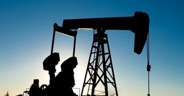 Crude oil rallies after leading oil consumers tap SPR