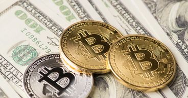 NFTs top art world list: What's next for crypto art?