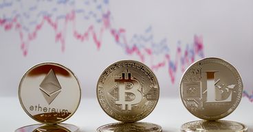 Everdome Crypto: How to buy the token?