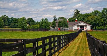 Andrew Twiggy’s Tattarang buys farmlands, rural property on mind
