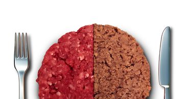 What is plant-based meat? What are its pros and cons? - Kalkine Media