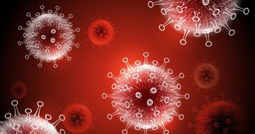 New South Wales records highest COVID-19 cases in Australia
