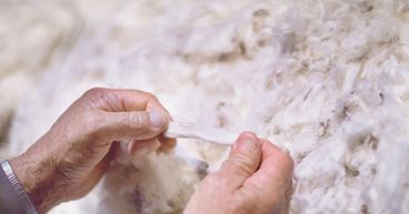 China hikes import quota for Australian wool