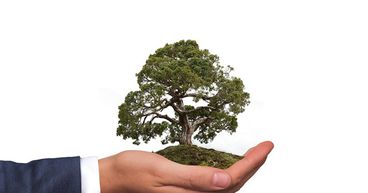 How to make your organisation eco-friendly?